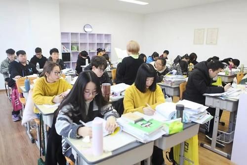 泰安艺术生文化课冲刺